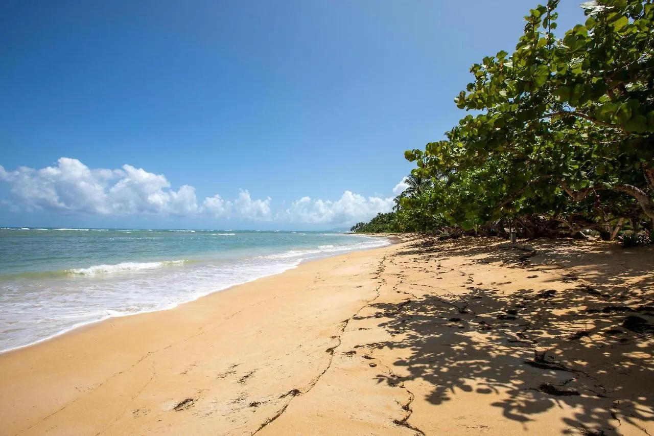 Luxurybalconesdelatlantico Beachfront Pool Apartment Las Terrenas Dominican Republic