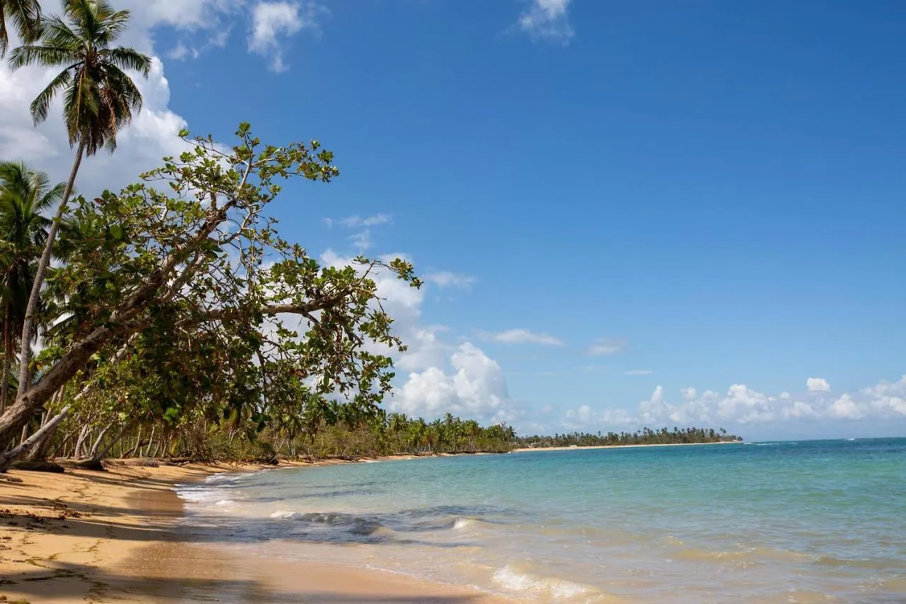 Luxurybalconesdelatlantico Beachfront Pool Apartment Las Terrenas 0*,  Dominican Republic