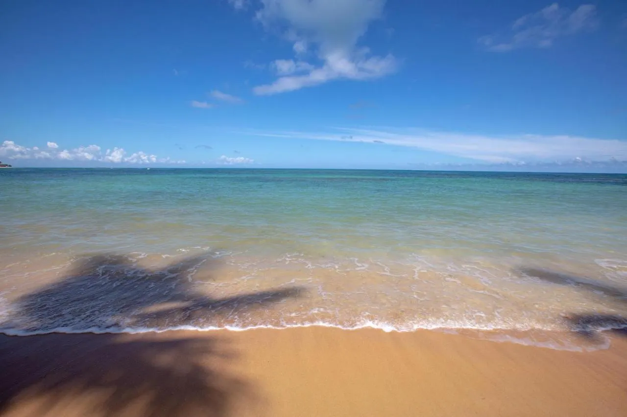 Luxurybalconesdelatlantico Beachfront Pool Apartment Las Terrenas