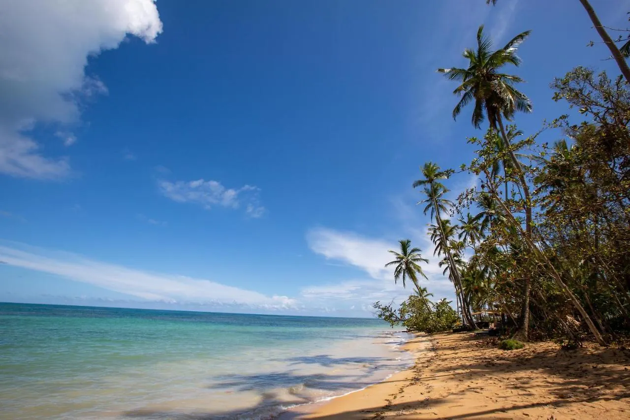 Luxurybalconesdelatlantico Beachfront Pool Apartment Las Terrenas