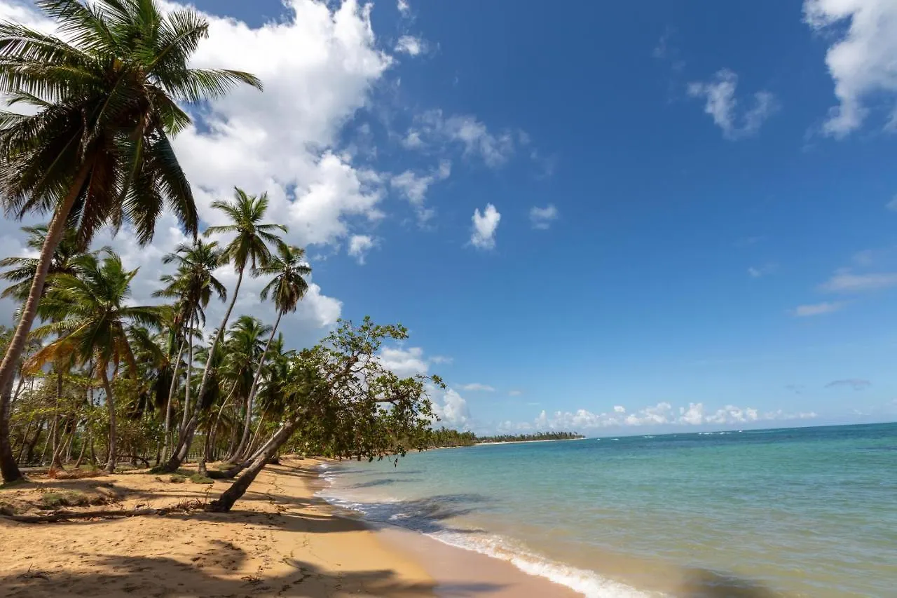 Luxurybalconesdelatlantico Beachfront Pool Apartment Las Terrenas Dominican Republic